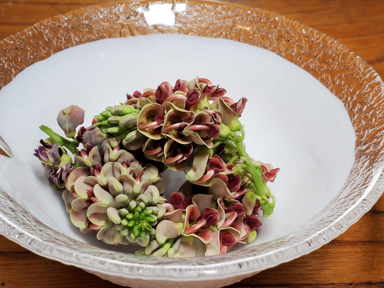 アピオスの花 天ぷらにてご用意しております 手打ちそば うどん 郷ごころ